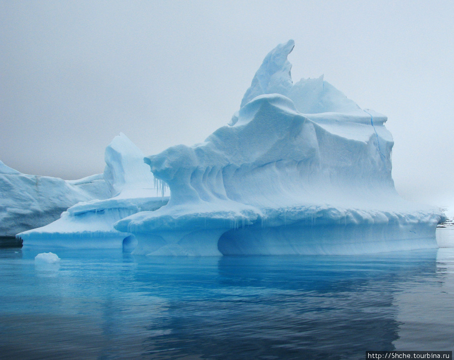 Здесь умирают айсберги — Waterboat Pt, Antarktic Peninsula. Полуостров Уотербоат-Пойнт, Антарктида