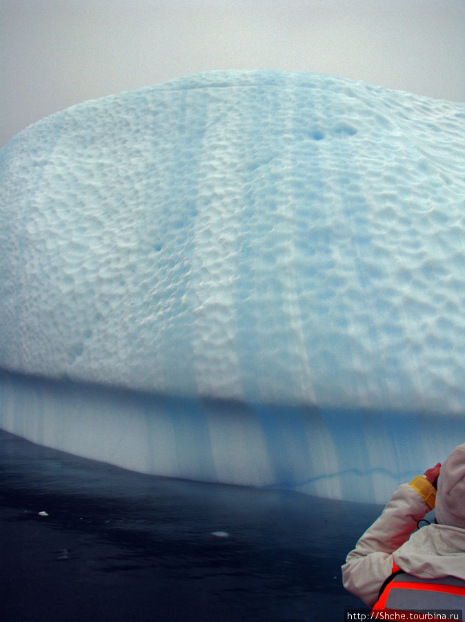 Вертикальные синие слои говорят не только о процессе формирования айсберга, но и том, что он как минимум один раз перевернулся. Давно здесь... Полуостров Уотербоат-Пойнт, Антарктида
