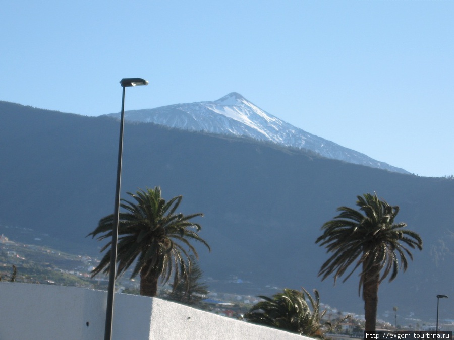 Вулкан Тйэд — символ Тенерифа Пуэрто-де-ла-Крус, остров Тенерифе, Испания