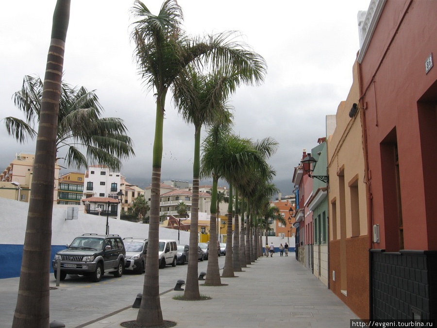 красивая улочка Calle de Mequines — 
— идёт от Playa Jardin, к пл. Charca Пуэрто-де-ла-Крус, остров Тенерифе, Испания