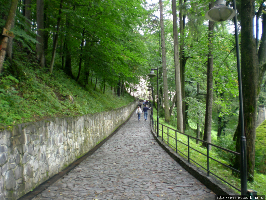 дорожка вверх к замку Брашов, Румыния