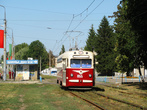 Экскурсионный (МТВ-82) возвращается с Лесопарка по улице Сумской.Находится на остановке Детская железная дорога.