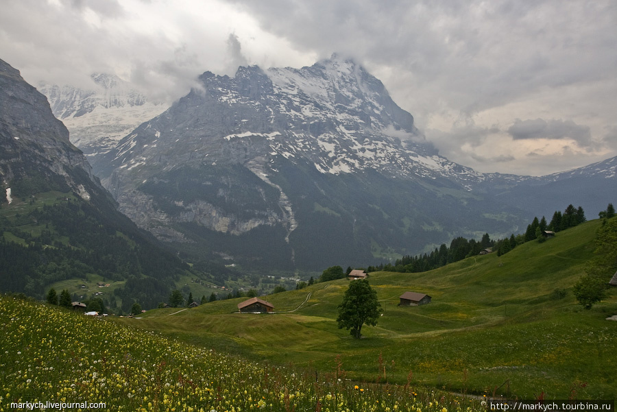 Тяжелые тучи, нависшие над вершинами, нисколько не портили величественную картину. Гриндельвальд, Швейцария
