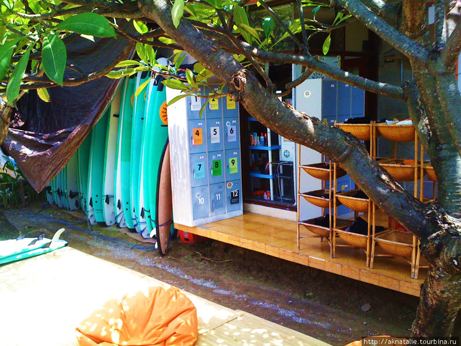 Школа серфинга Ветреное солнце Кута, Индонезия