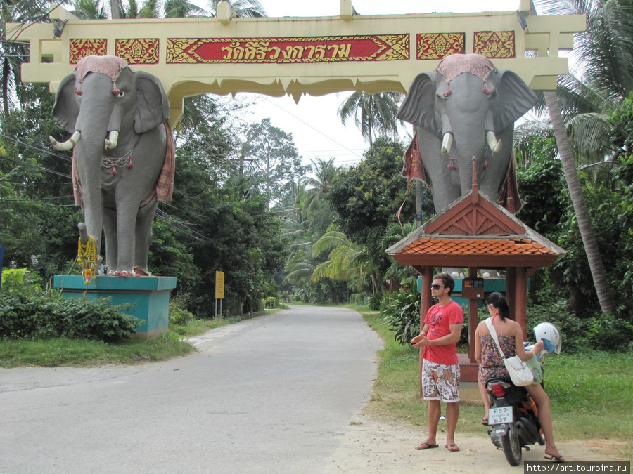 Welcom в страну слонов Остров Самуи, Таиланд