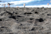 черный вулканический песок