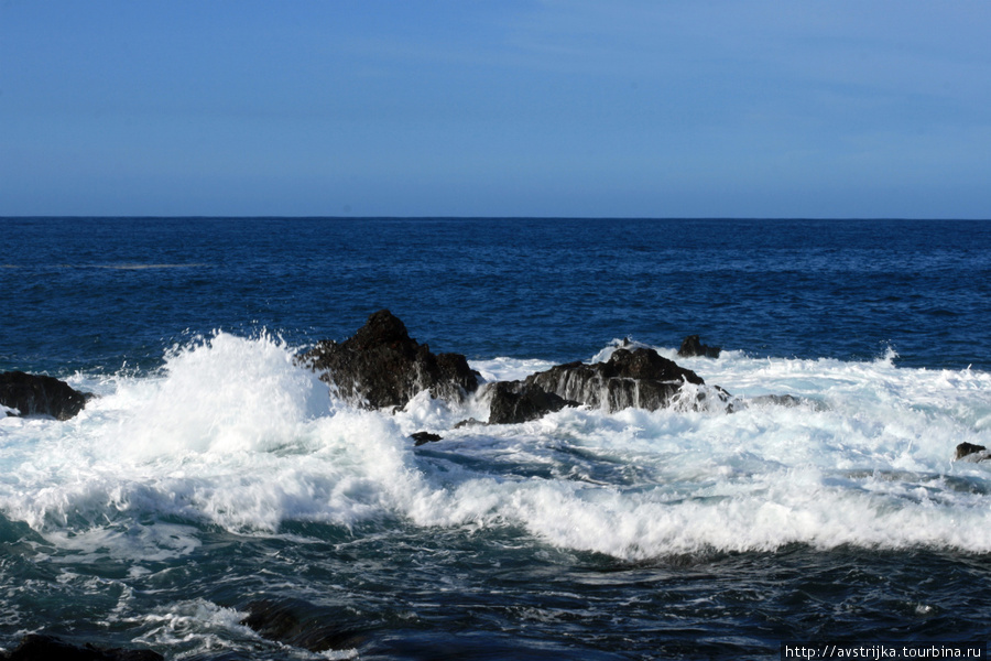Его величество океан Остров Тенерифе, Испания