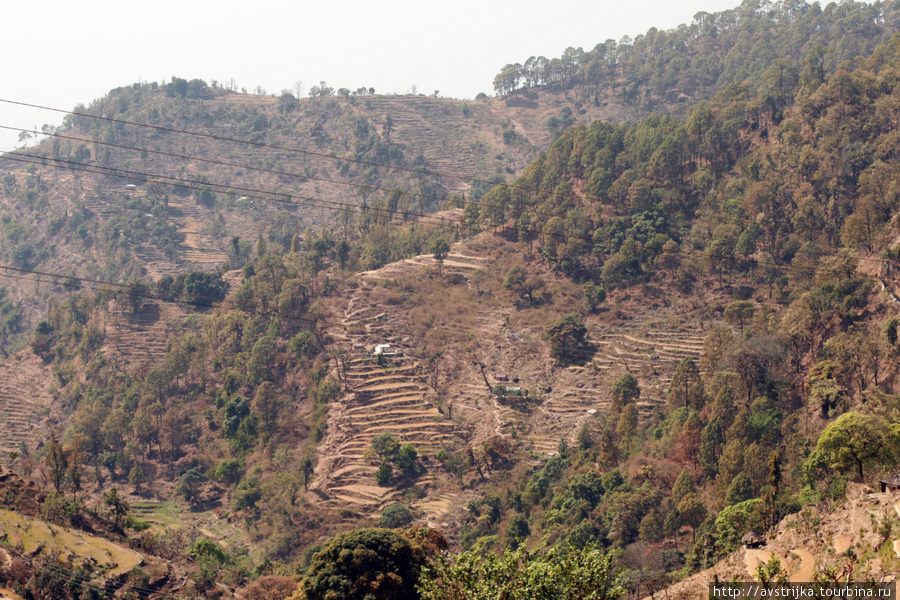 Затерянный в горах ашрам Халдвани, Индия