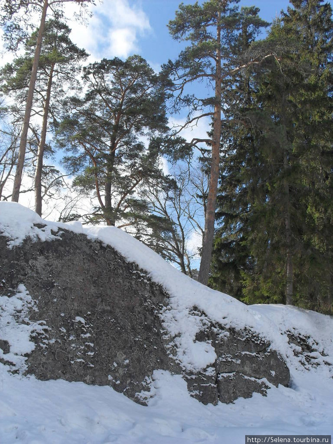 Парк Монрепо - зимний вид Выборг, Россия