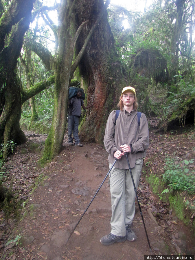 Пока мы фотографировались, Бима терпеливо ждал. Килиманджаро Национальный Парк, Танзания