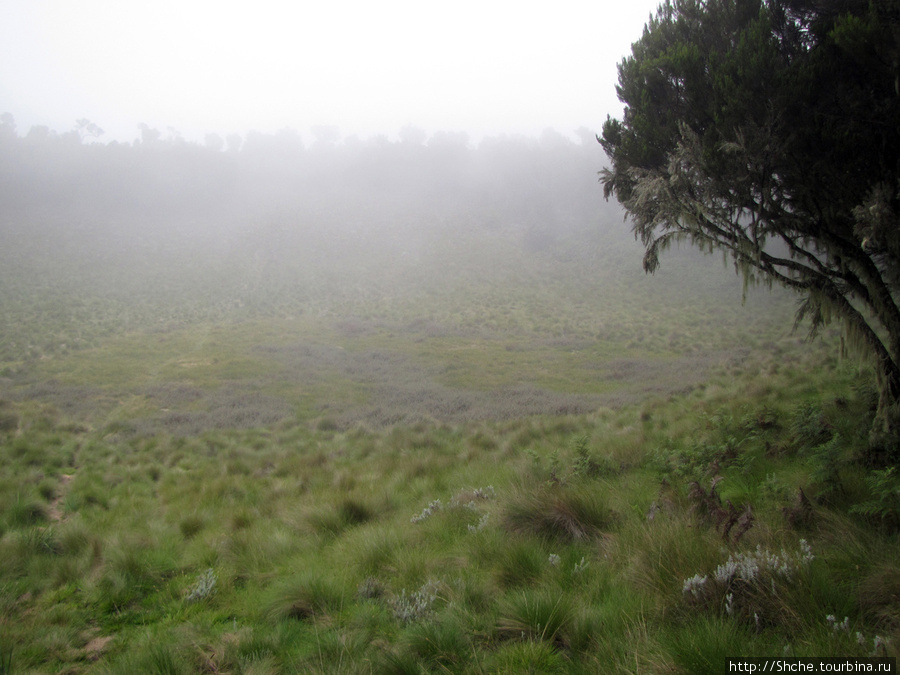 А это разрекламированный старый кратер, немного прояснилось на секунды. Килиманджаро Национальный Парк, Танзания