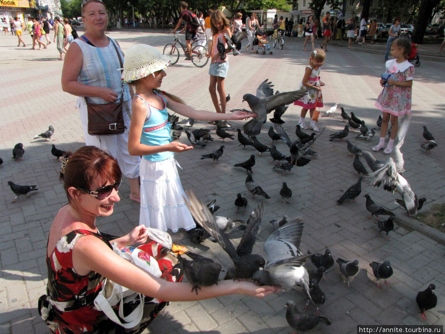 Кормим голубей на площади около центрального рынка. Геленджик, Россия