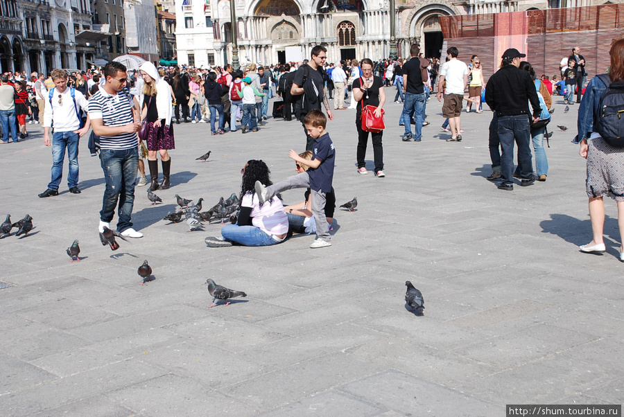 Обитатели площади Святого Марка и екресностей Венеция, Италия
