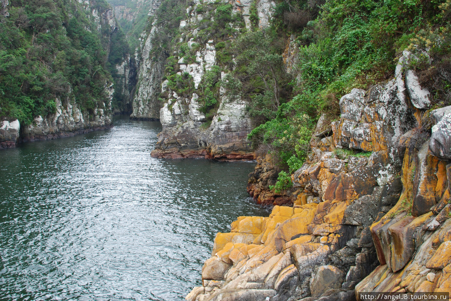 Storms River ЮАР