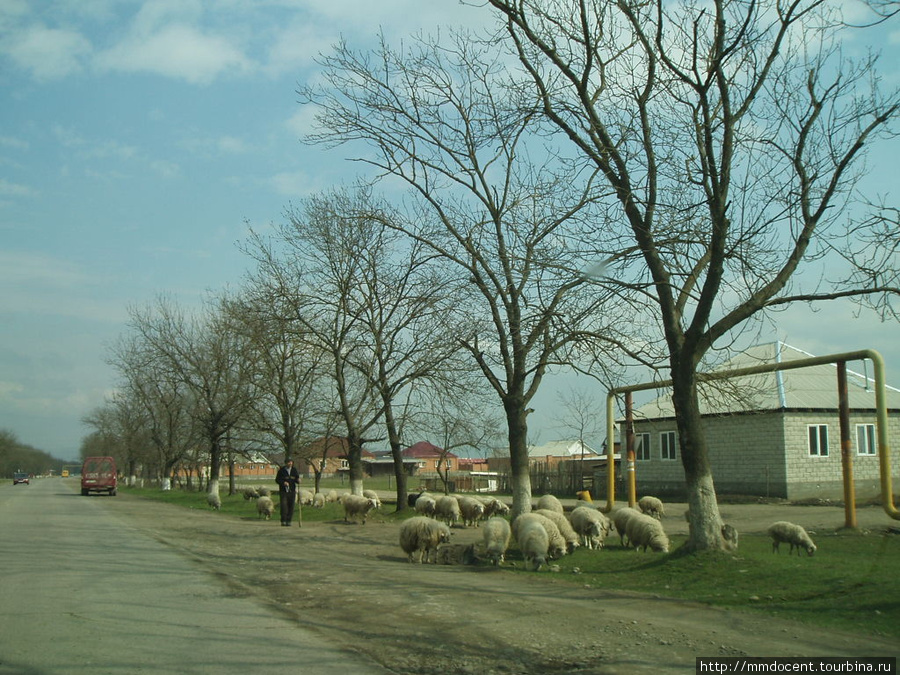 Бывшая казачья станица Нестеровская, Россия