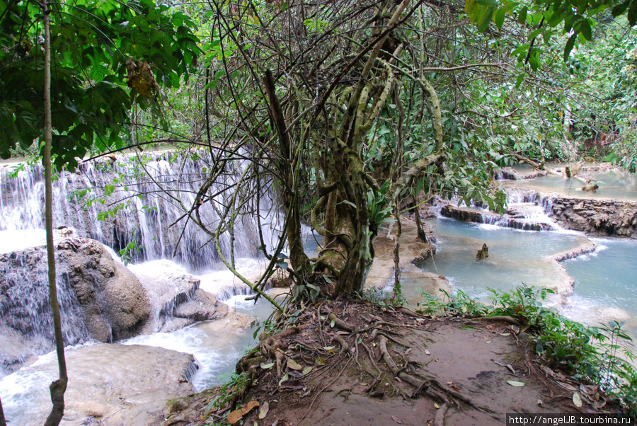 многоуровневые водопады региона Куан Си Лаос