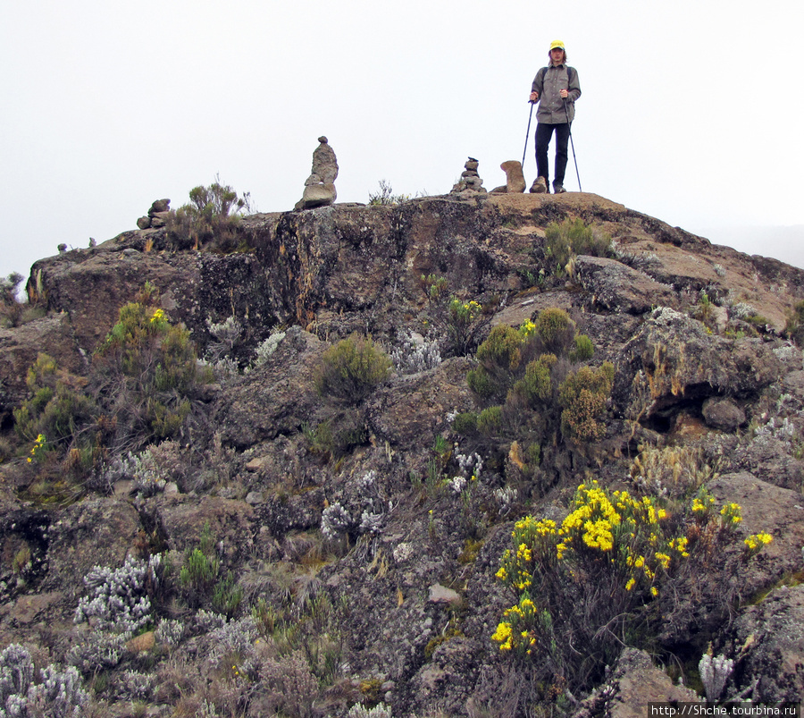 Zebra Rock. Акклиматизация на Килиманджаро на 3700-4100 м.