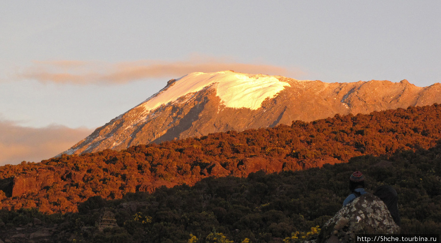 Вершина Кили в лучах заходящего солнца Гора (вулкан) Килиманджаро (5895м), Танзания