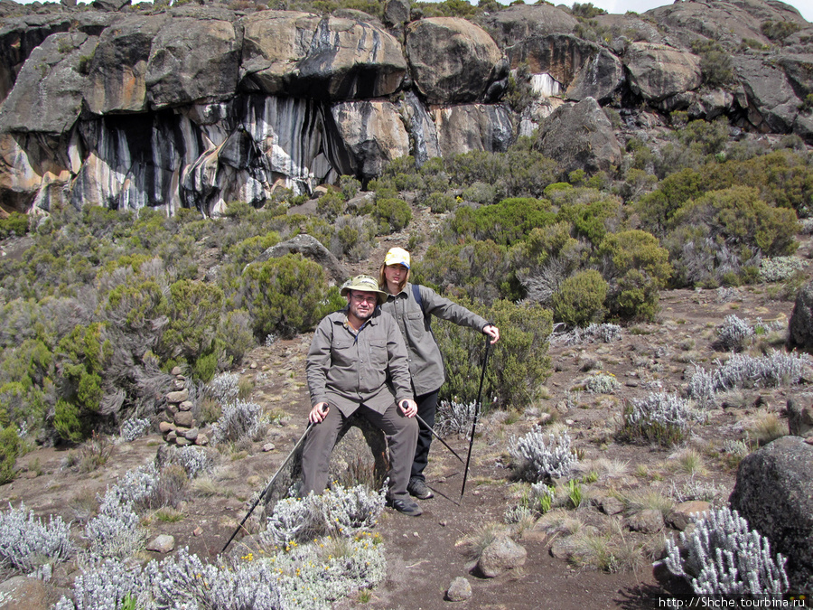 Zebra Rock. Акклиматизация на Килиманджаро на 3700-4100 м. Гора (вулкан) Килиманджаро (5895м), Танзания