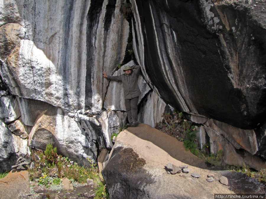 Zebra Rock. Акклиматизация на Килиманджаро на 3700-4100 м. Гора (вулкан) Килиманджаро (5895м), Танзания