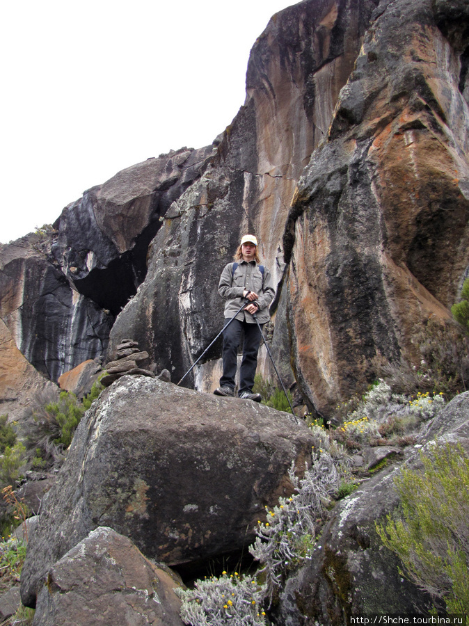 Zebra Rock. Акклиматизация на Килиманджаро на 3700-4100 м.