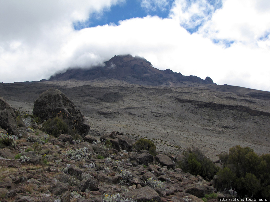 С одной стороны возвышалась вершина Мавензи Гора (вулкан) Килиманджаро (5895м), Танзания