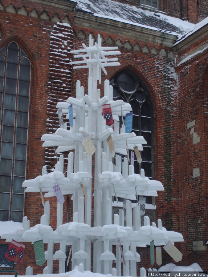 Рига. Собор Святого Петра. Виды со смотровой площадки собора Рига, Латвия
