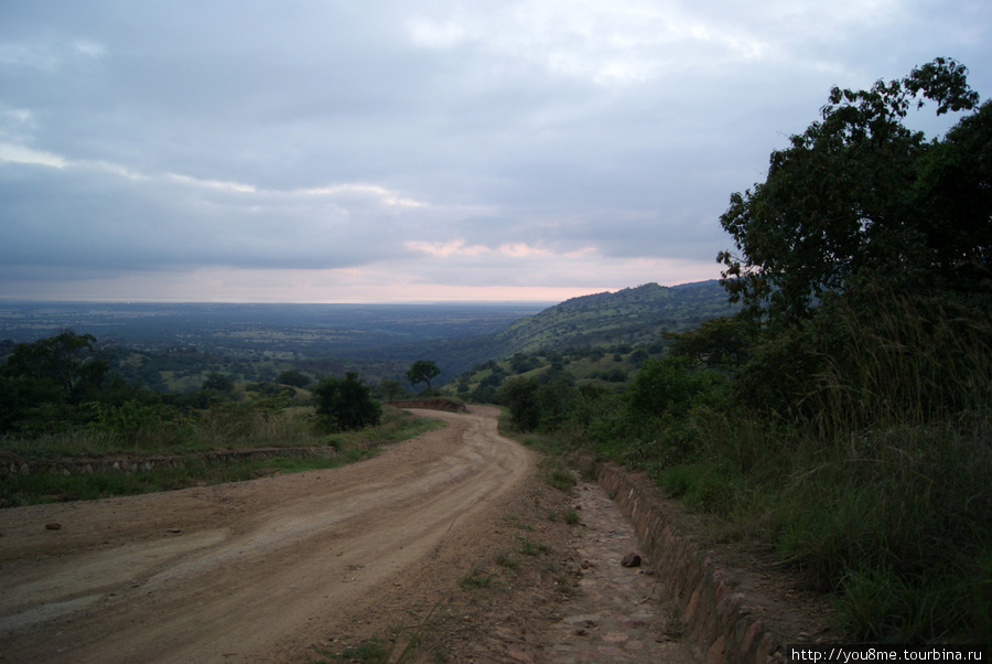 Сапожник (А в глазах Африка - 39) Хойма, Уганда