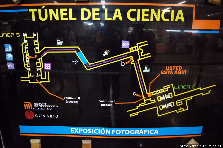 В метро в Мехико много длинных переходов, но этот самый длинный — смотри схему Мехико, Мексика