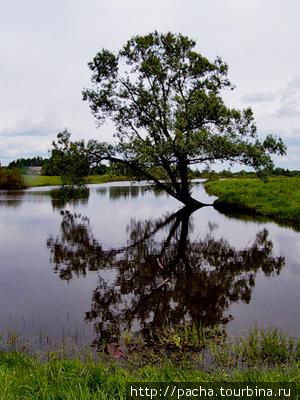 Р.Березина Березинский биосферный заповедник, Беларусь