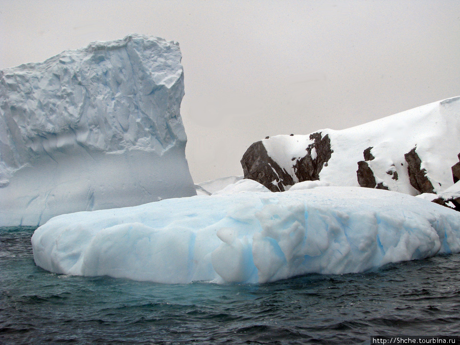 Yalour is. — самая южная точка пути. Знакомьтесь — айсдятел. Группа островов Ялур, Антарктида