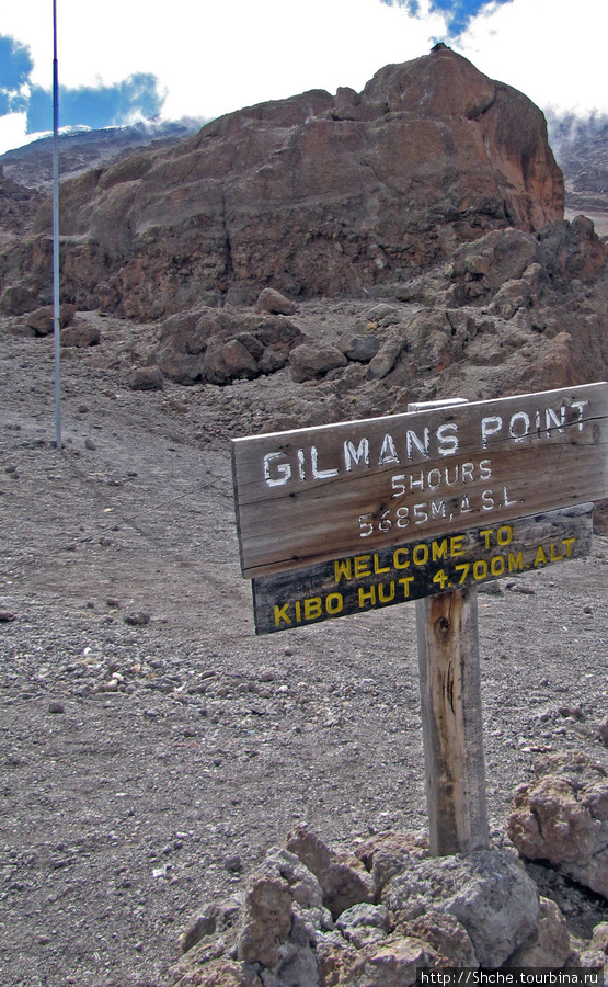 Веселый случай с этой табличкой рассказал Сафи. Как-то несколько японцев дошли до лагеря, закрыли нижнюю часть таблички, пофотографировались и говорят, типа пошли вниз, мы расскажем, что поднялись на Gilmans Point. Кстати, Gilmans Point — это одна из точек Кили, где считается, что гора покорена. Гора (вулкан) Килиманджаро (5895м), Танзания