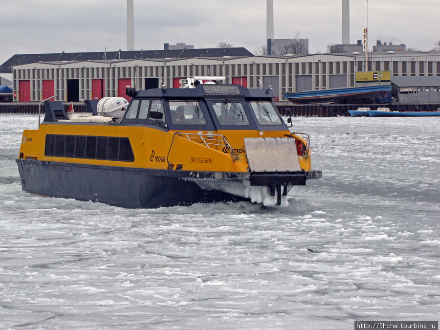 Зимой продолжают ходить  маршрутки ледокольного типа Копенгаген, Дания