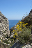 Долина Бабу (Зурри, Мальта)