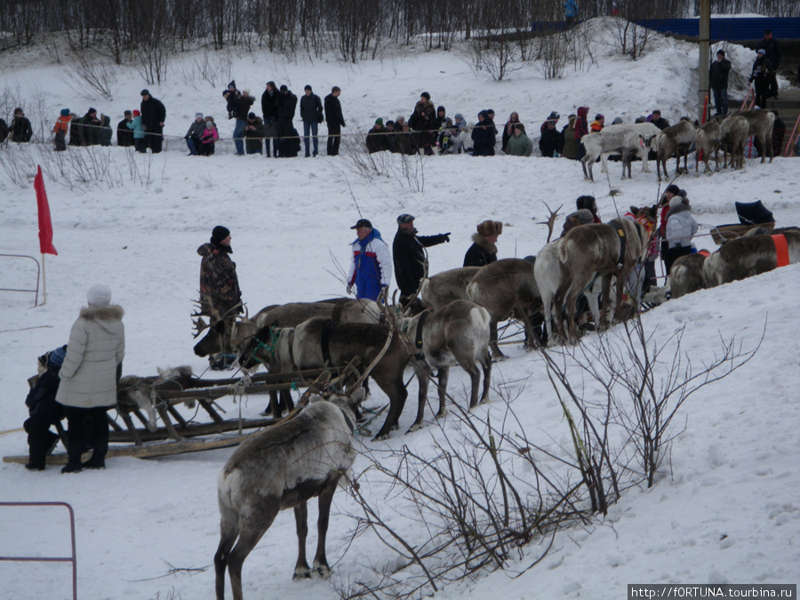 Праздник Севера Мурманск, Россия