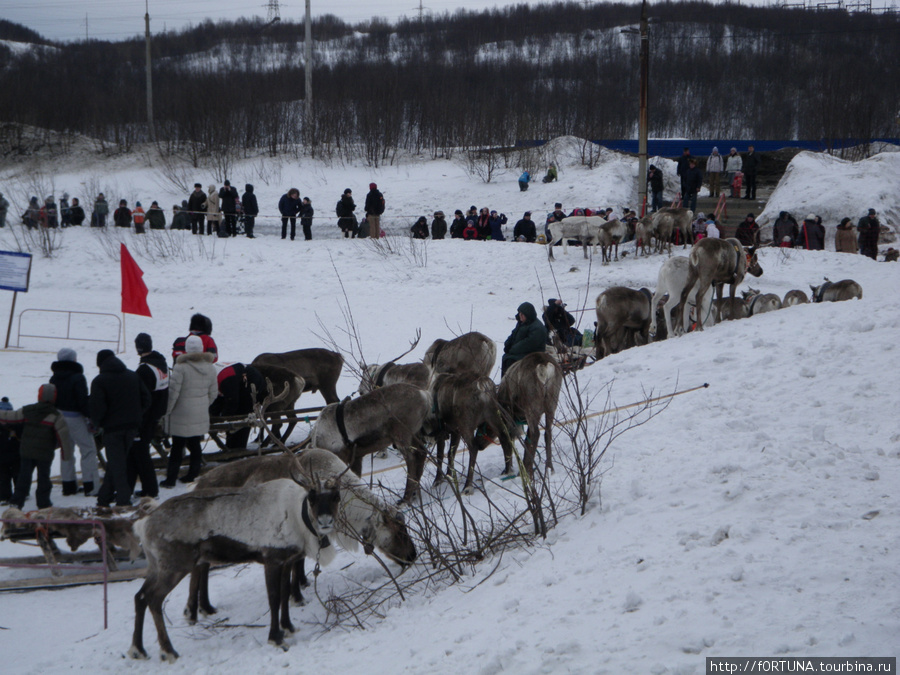 Праздник Севера Мурманск, Россия