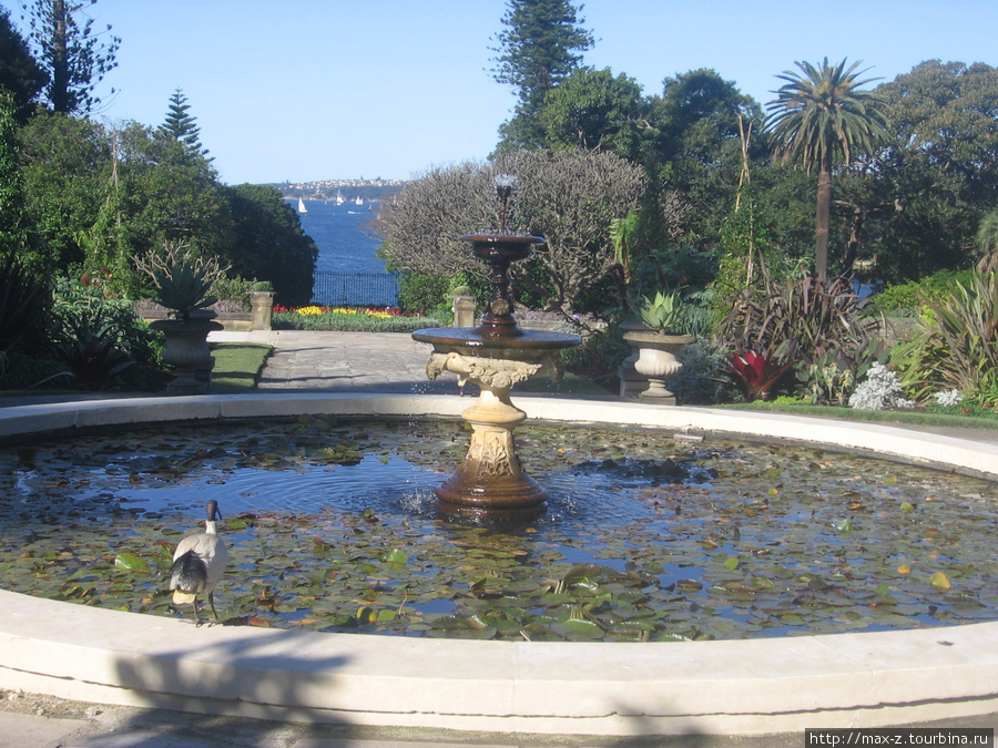 СИДНЕЙ: Королевские сады. Сидней, Австралия