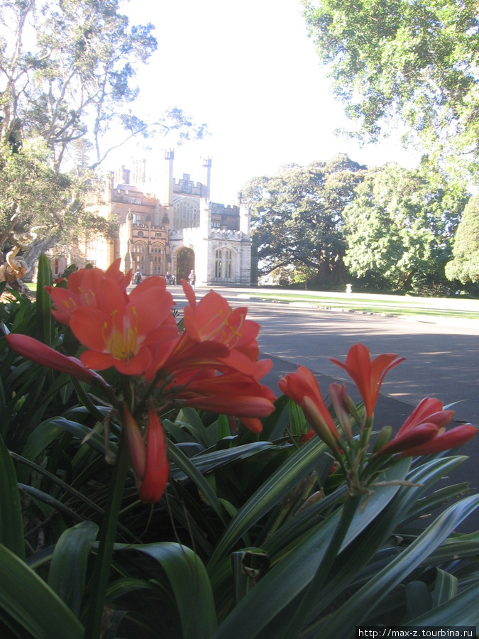 СИДНЕЙ: Королевские сады. Сидней, Австралия