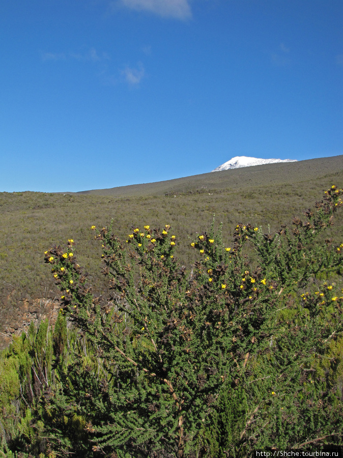 Спуск с Килиманджаро — обратная перемотка. Гора (вулкан) Килиманджаро (5895м), Танзания