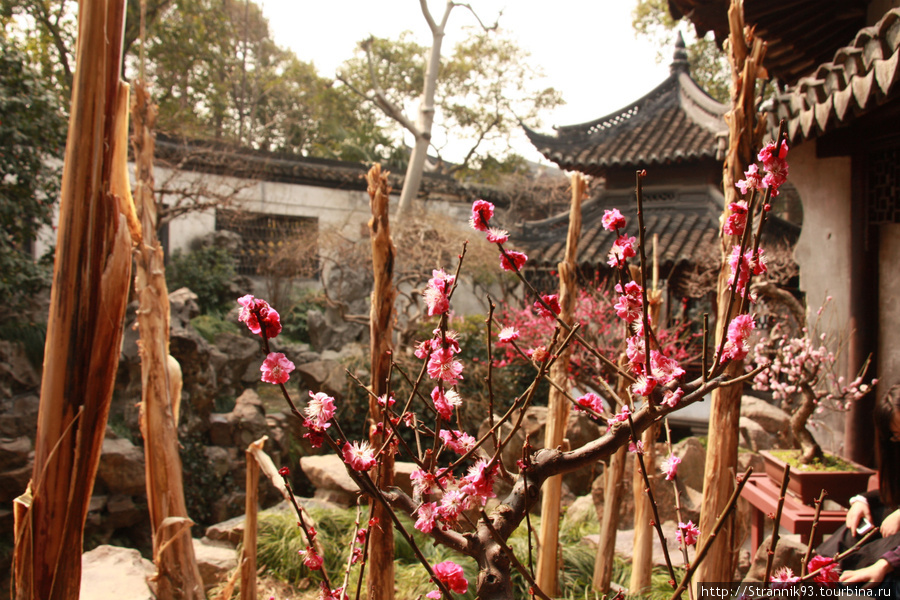 Парк Yu Yuan (Yu Garden) Китай