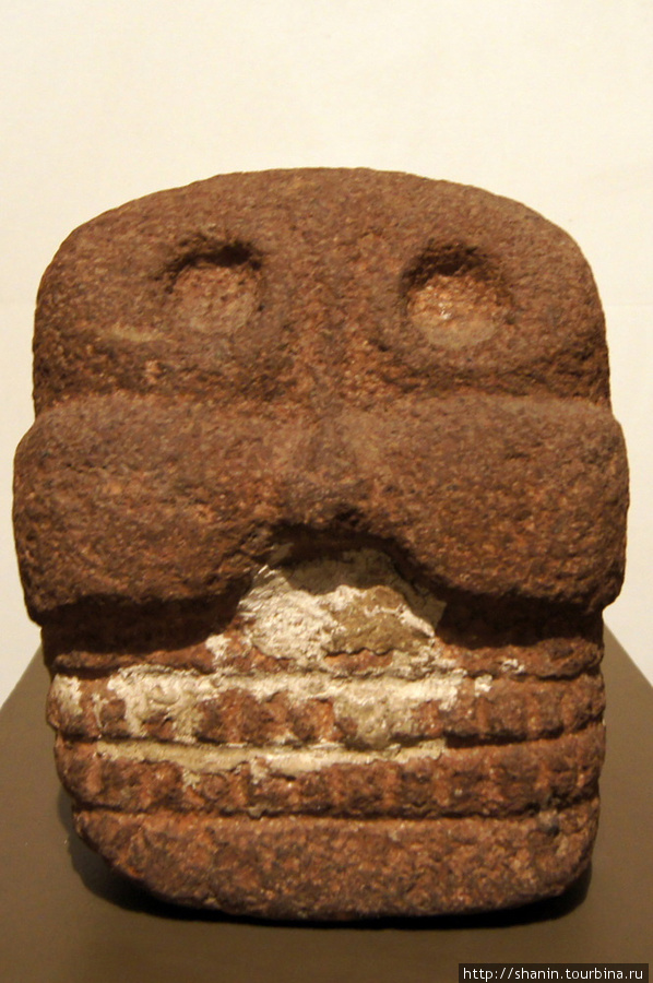 Каменный череп Мехико, Мексика