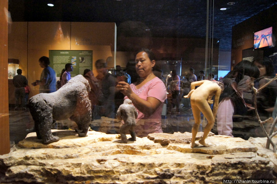 В музее антропологии Мехико, Мексика