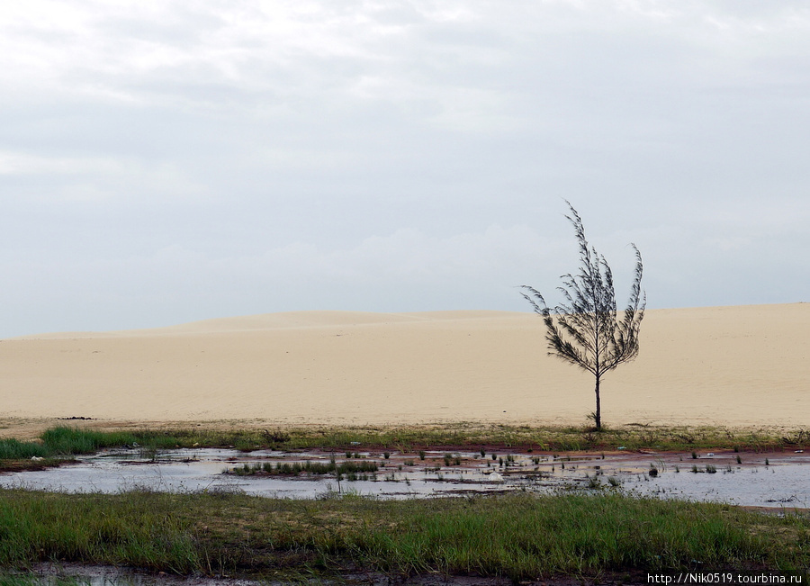 Белые дюны Муй Не Фантхиет, Вьетнам
