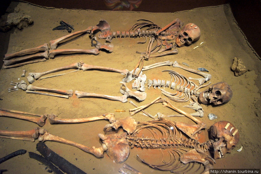Скелеты Мехико, Мексика