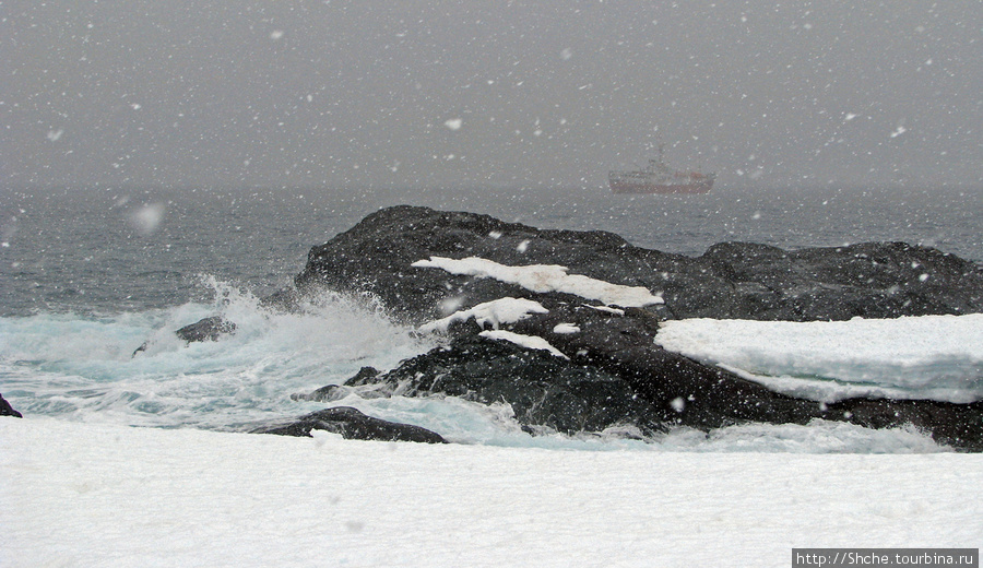 Погодка разыгралась, наш корабль почти не видно Остров Плено, Антарктида