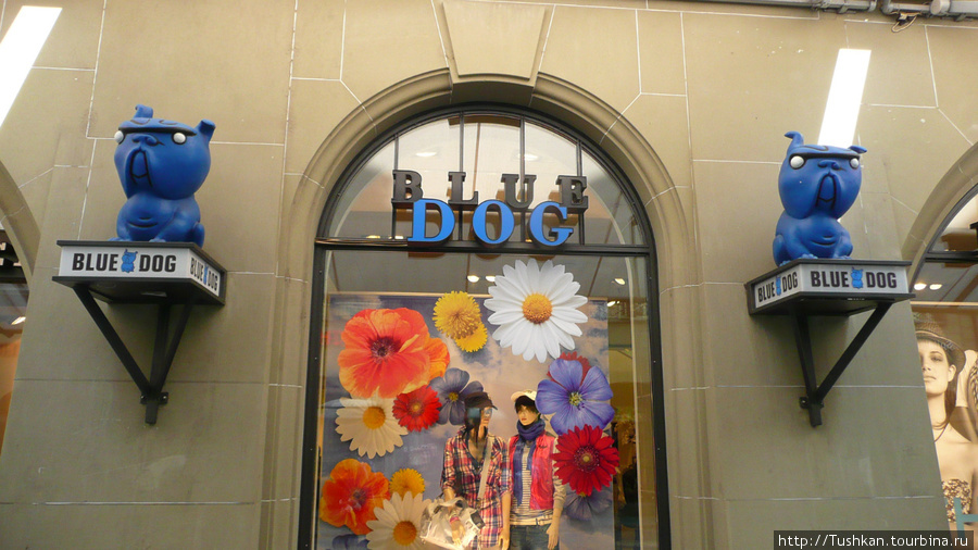 Магазины Blue Dog есть в каждом городе Швейцарии. Берн, Швейцария