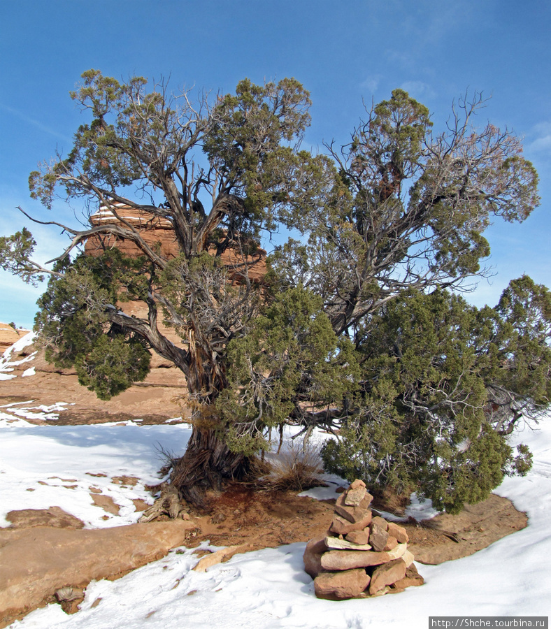 Нежная Арка - жемчужина парка Арчес, символ штата Юта. Национальный парк Арчес, CША