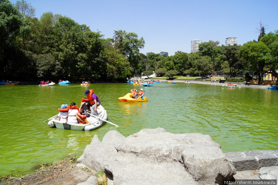 Озеро в парке Мехико, Мексика