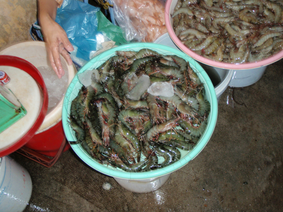 Мы попробовали все виды креветок. Самые вкусные на мой взгляд, те, что помельче, в правом углу снимка. Нячанг, Вьетнам