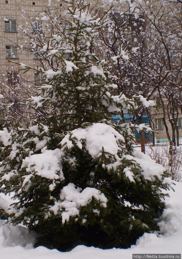 Апрельский снег Алтайский край, Россия